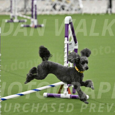 MAS-EX-JWW-4-8-Inch_0373