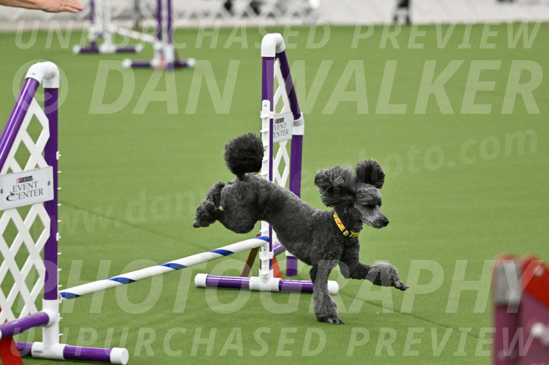 MAS-EX-JWW-4-8-Inch_0374