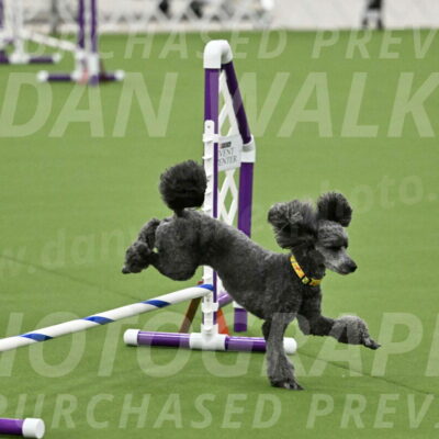 MAS-EX-JWW-4-8-Inch_0374