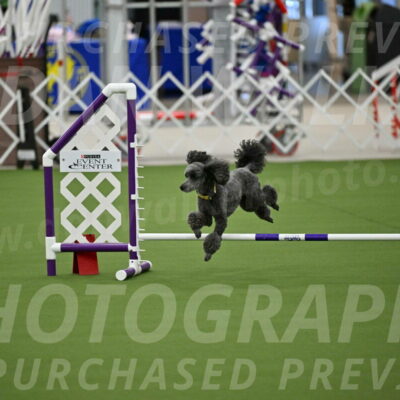 MAS-EX-JWW-4-8-Inch_0379