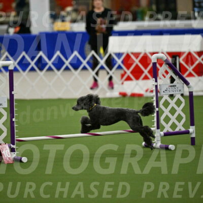 MAS-EX-JWW-4-8-Inch_0382