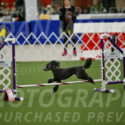 MAS-EX-JWW-4-8-Inch_0383