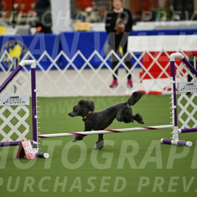 MAS-EX-JWW-4-8-Inch_0384