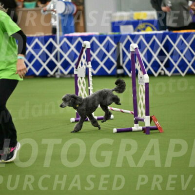 MAS-EX-JWW-4-8-Inch_0387