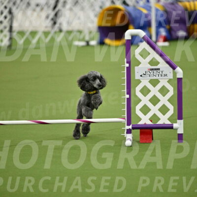 MAS-EX-JWW-4-8-Inch_0390