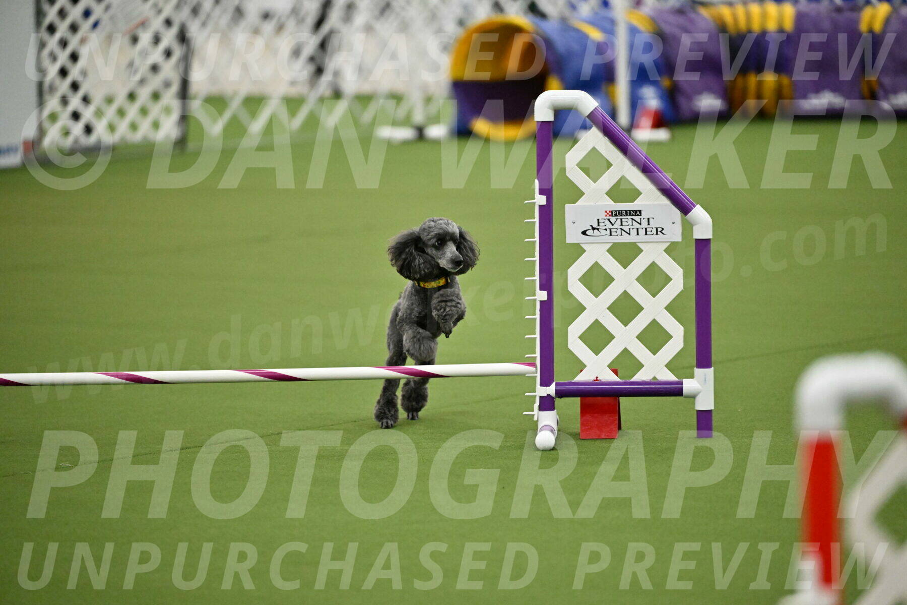 MAS-EX-JWW-4-8-Inch_0390