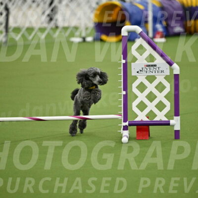 MAS-EX-JWW-4-8-Inch_0391