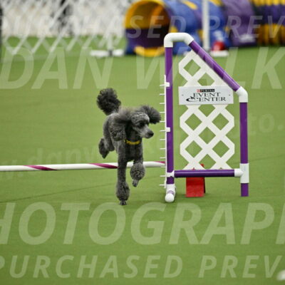 MAS-EX-JWW-4-8-Inch_0393