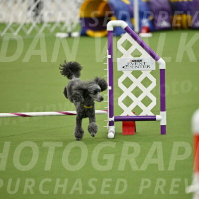 MAS-EX-JWW-4-8-Inch_0394