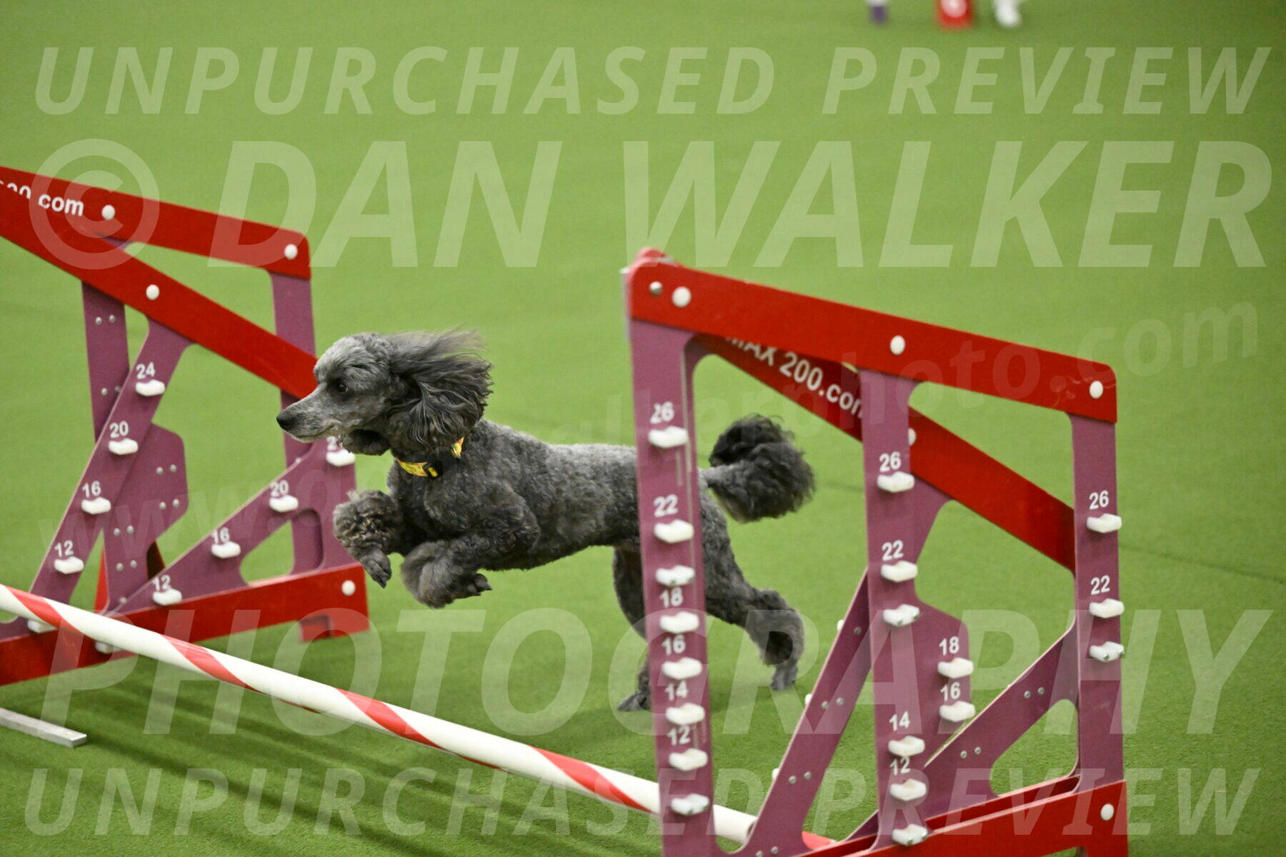 MAS-EX-JWW-4-8-Inch_0411