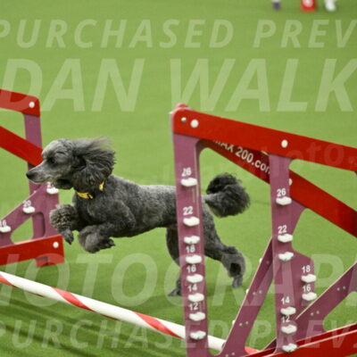 MAS-EX-JWW-4-8-Inch_0411