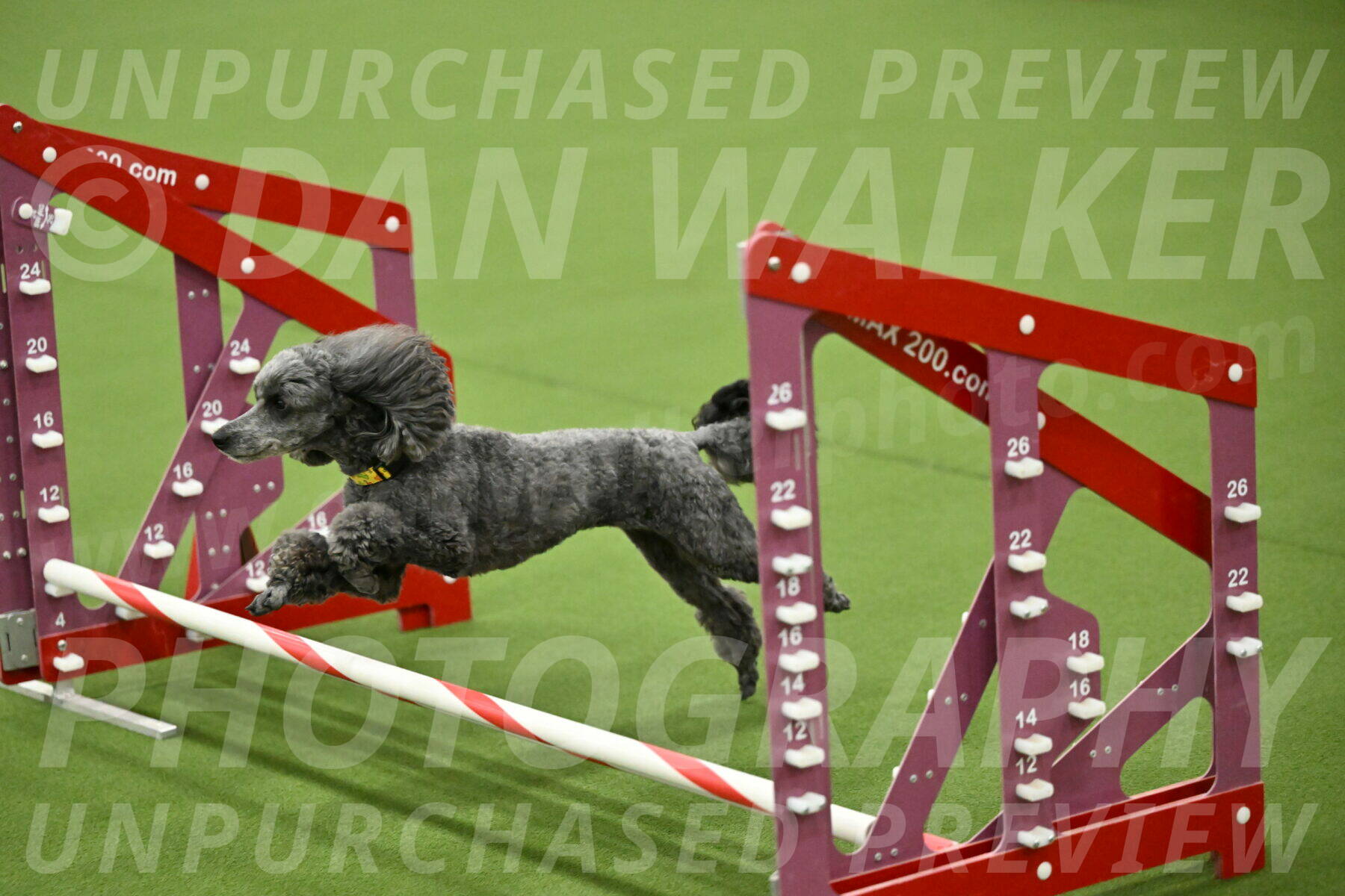 MAS-EX-JWW-4-8-Inch_0412