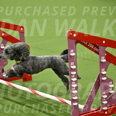 MAS-EX-JWW-4-8-Inch_0412