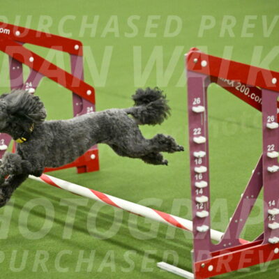 MAS-EX-JWW-4-8-Inch_0413