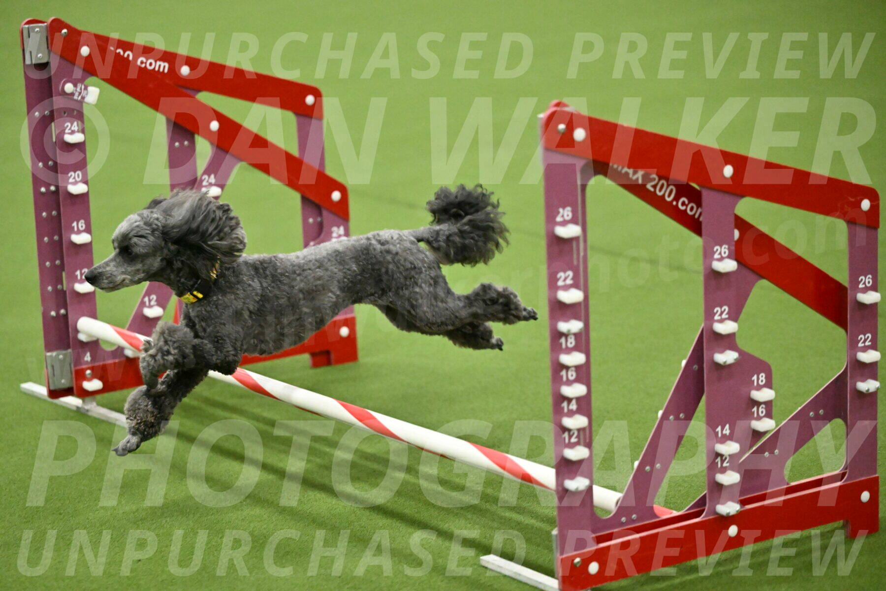 MAS-EX-JWW-4-8-Inch_0413