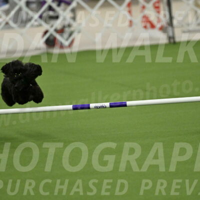 MAS-EX-JWW-4-8-Inch_0432