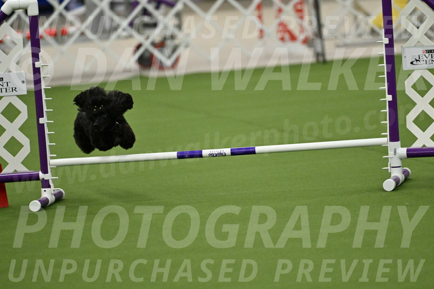 MAS-EX-JWW-4-8-Inch_0432