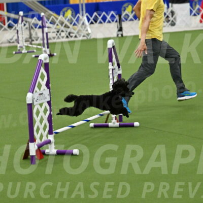 MAS-EX-JWW-4-8-Inch_0439