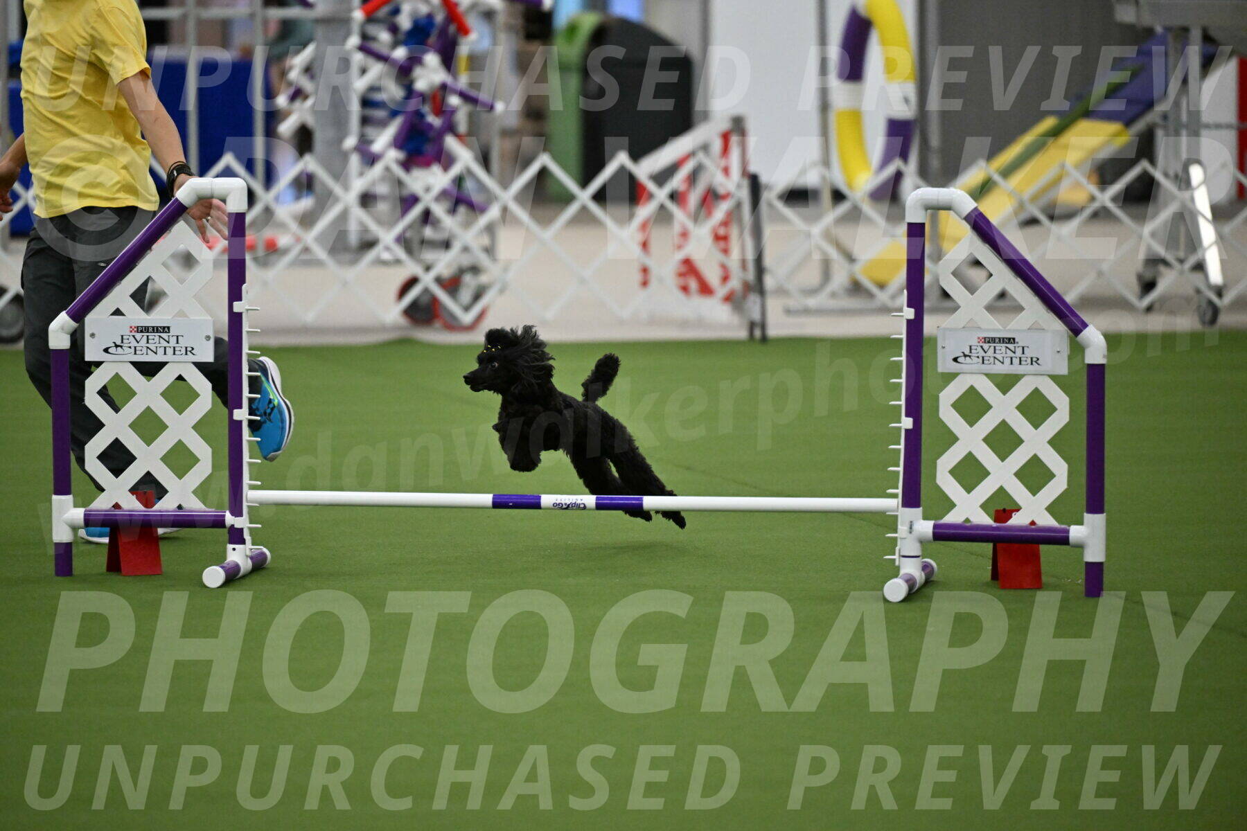 MAS-EX-JWW-4-8-Inch_0447