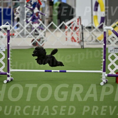 MAS-EX-JWW-4-8-Inch_0448