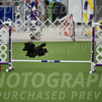 MAS-EX-JWW-4-8-Inch_0449