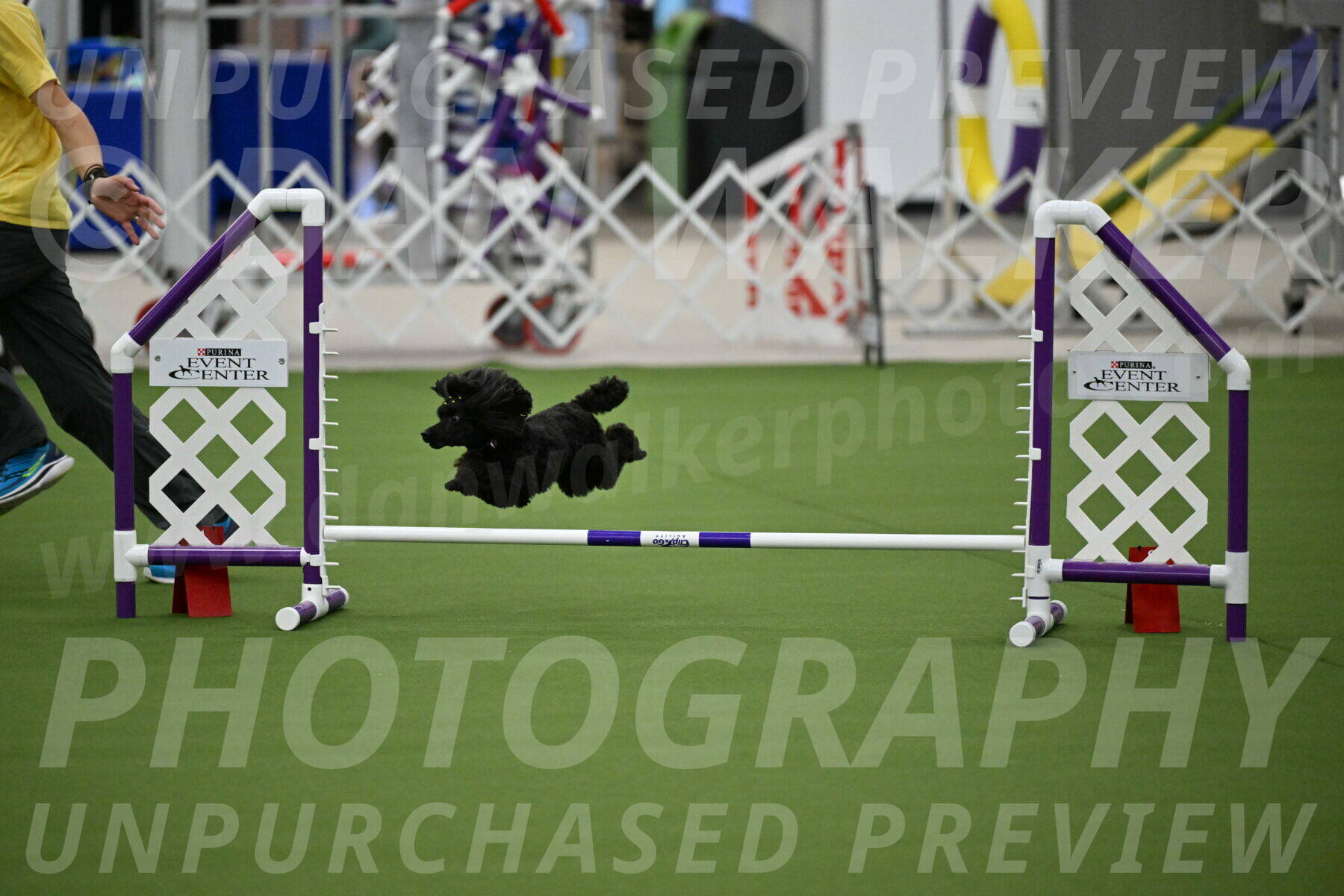 MAS-EX-JWW-4-8-Inch_0449