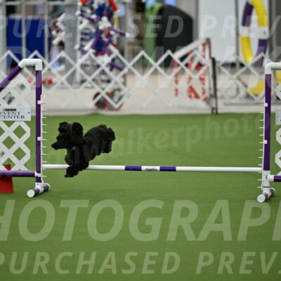 MAS-EX-JWW-4-8-Inch_0450