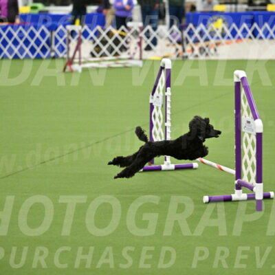 MAS-EX-JWW-4-8-Inch_0459