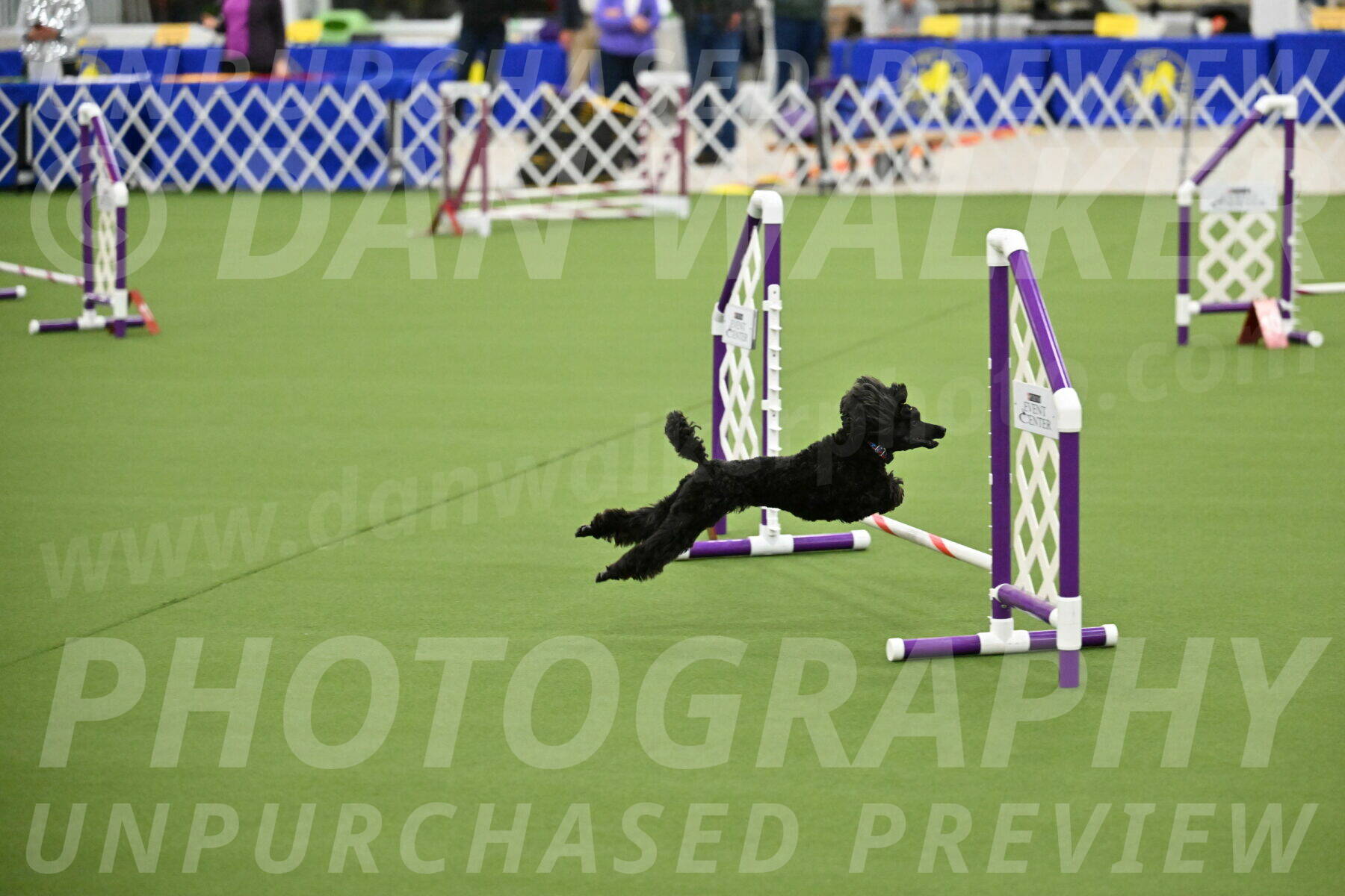 MAS-EX-JWW-4-8-Inch_0459