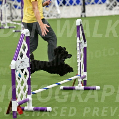 MAS-EX-JWW-4-8-Inch_0468