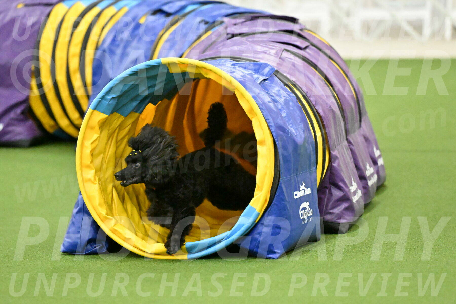 MAS-EX-JWW-4-8-Inch_0472