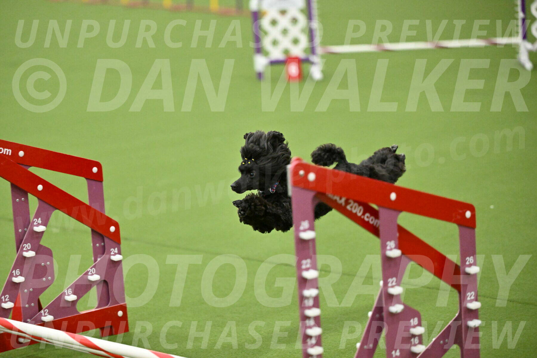 MAS-EX-JWW-4-8-Inch_0482