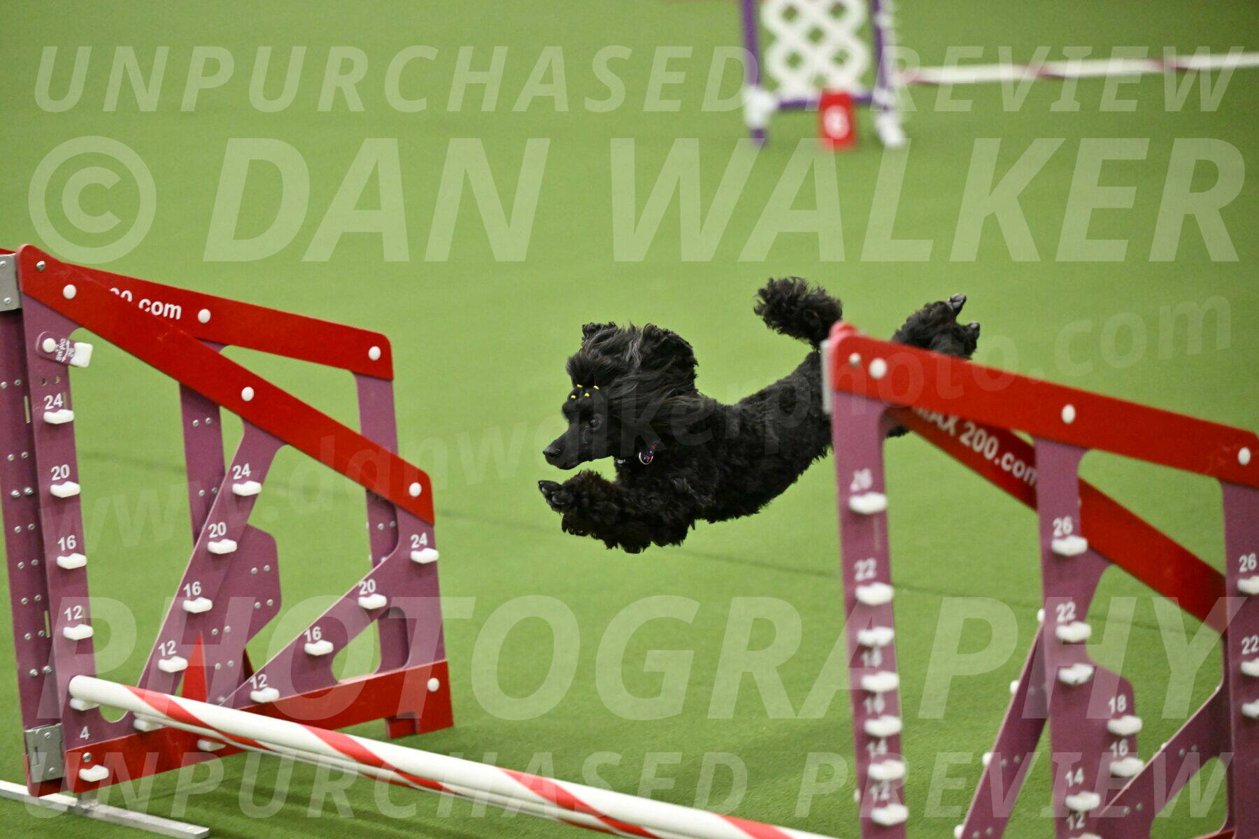 MAS-EX-JWW-4-8-Inch_0483