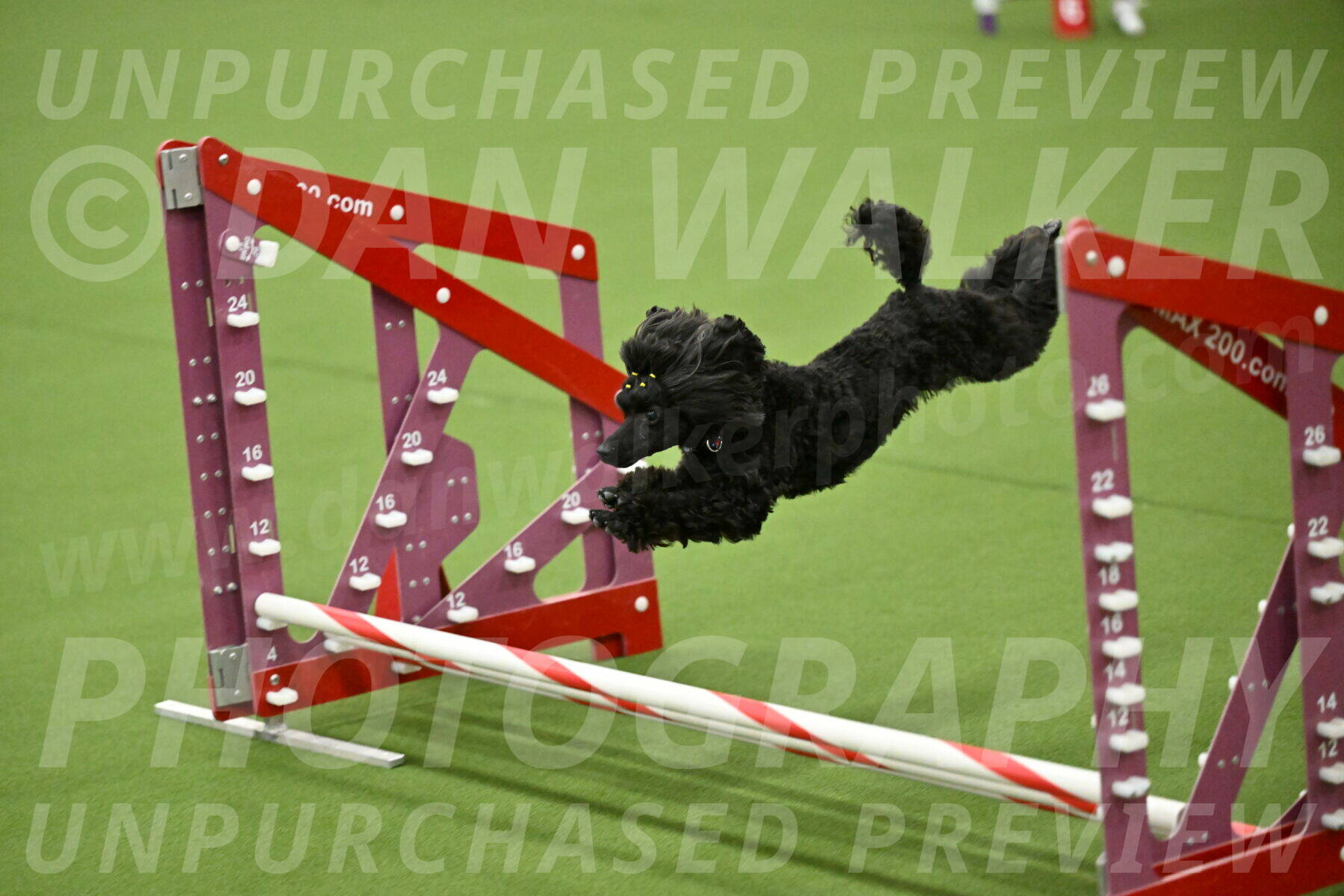 MAS-EX-JWW-4-8-Inch_0484