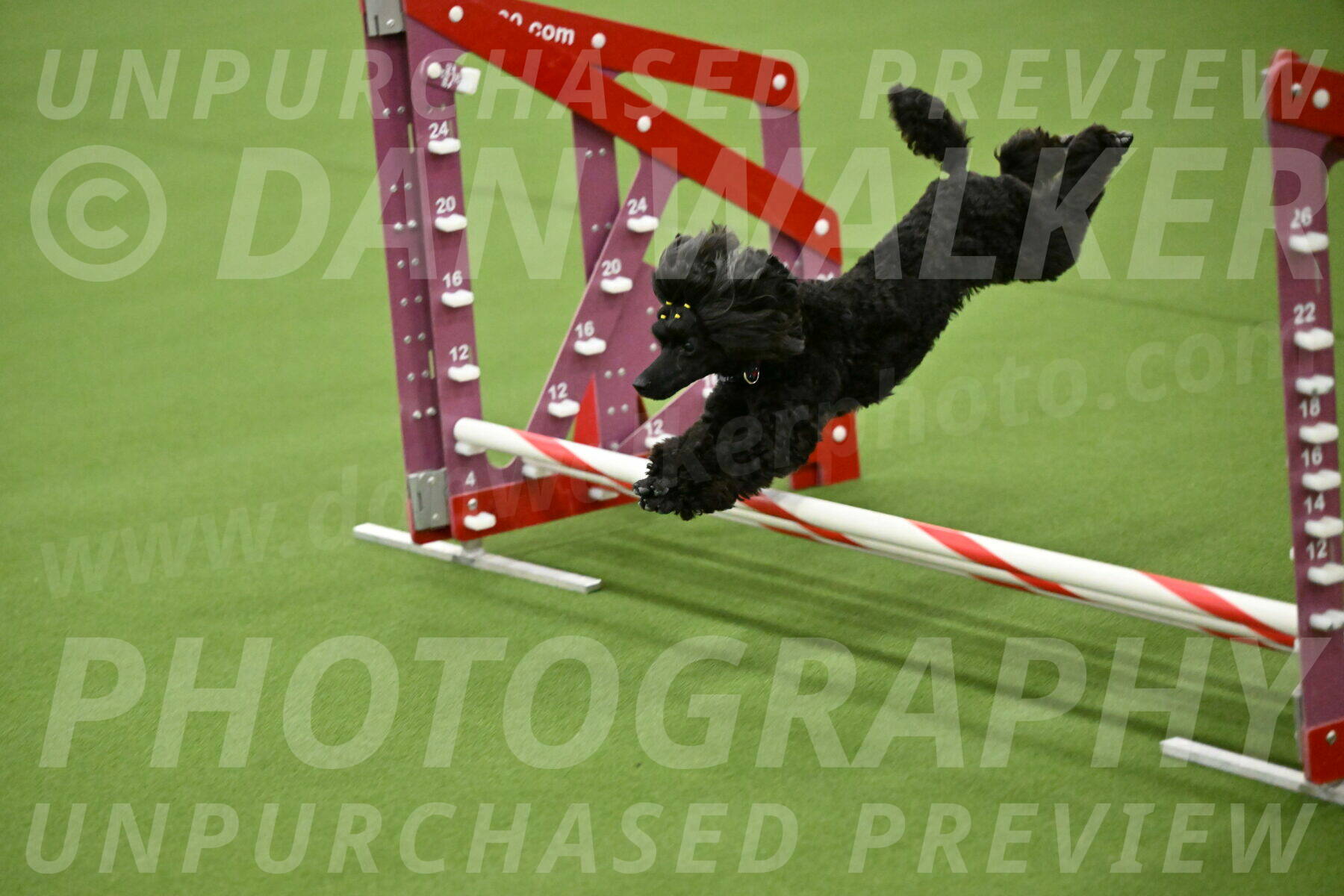 MAS-EX-JWW-4-8-Inch_0485