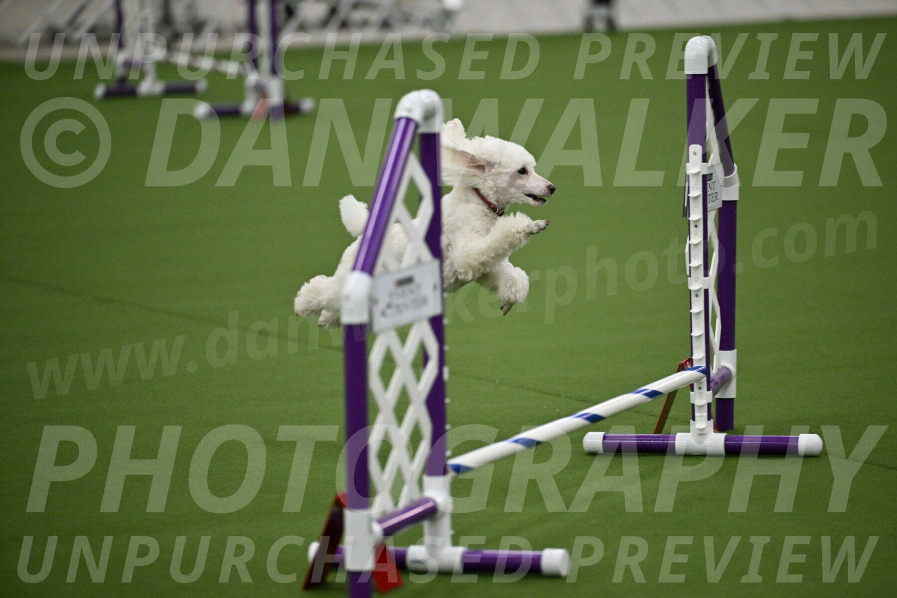 MAS-EX-JWW-4-8-Inch_0499