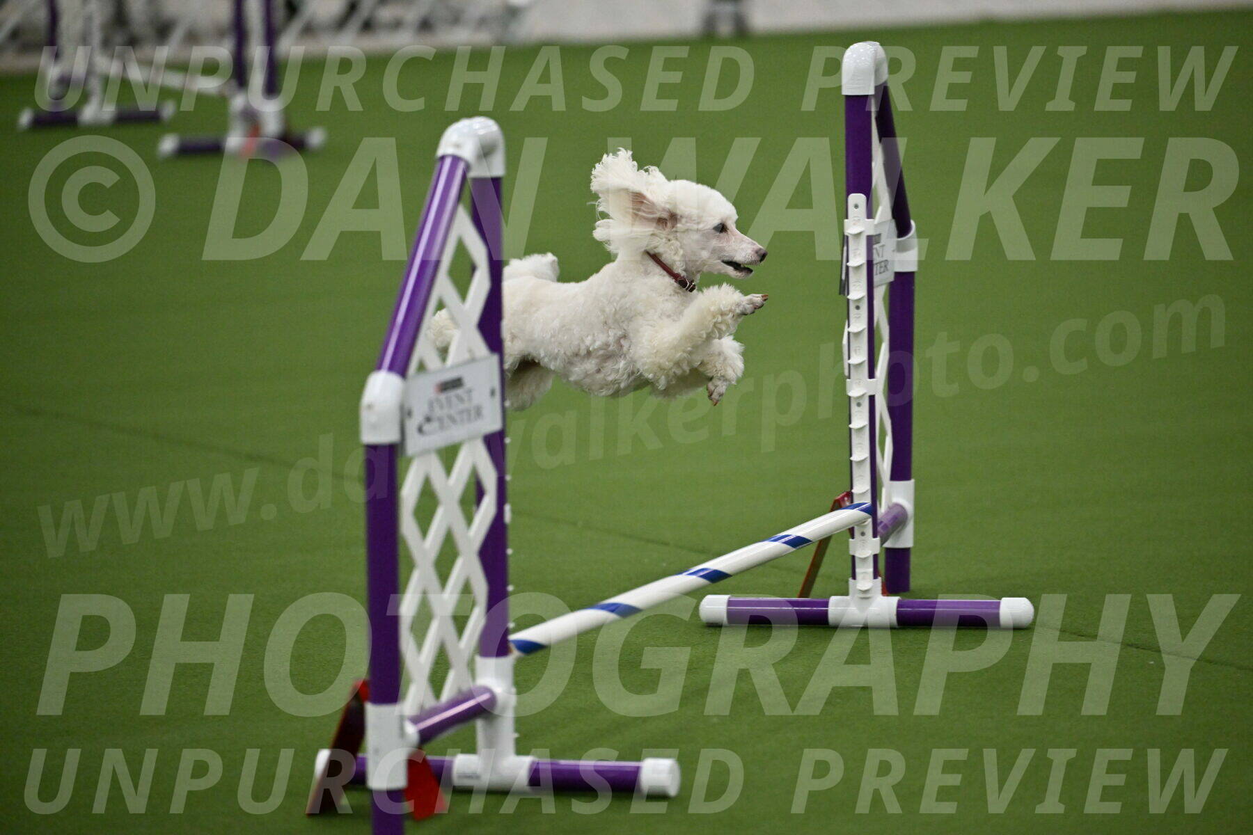 MAS-EX-JWW-4-8-Inch_0500