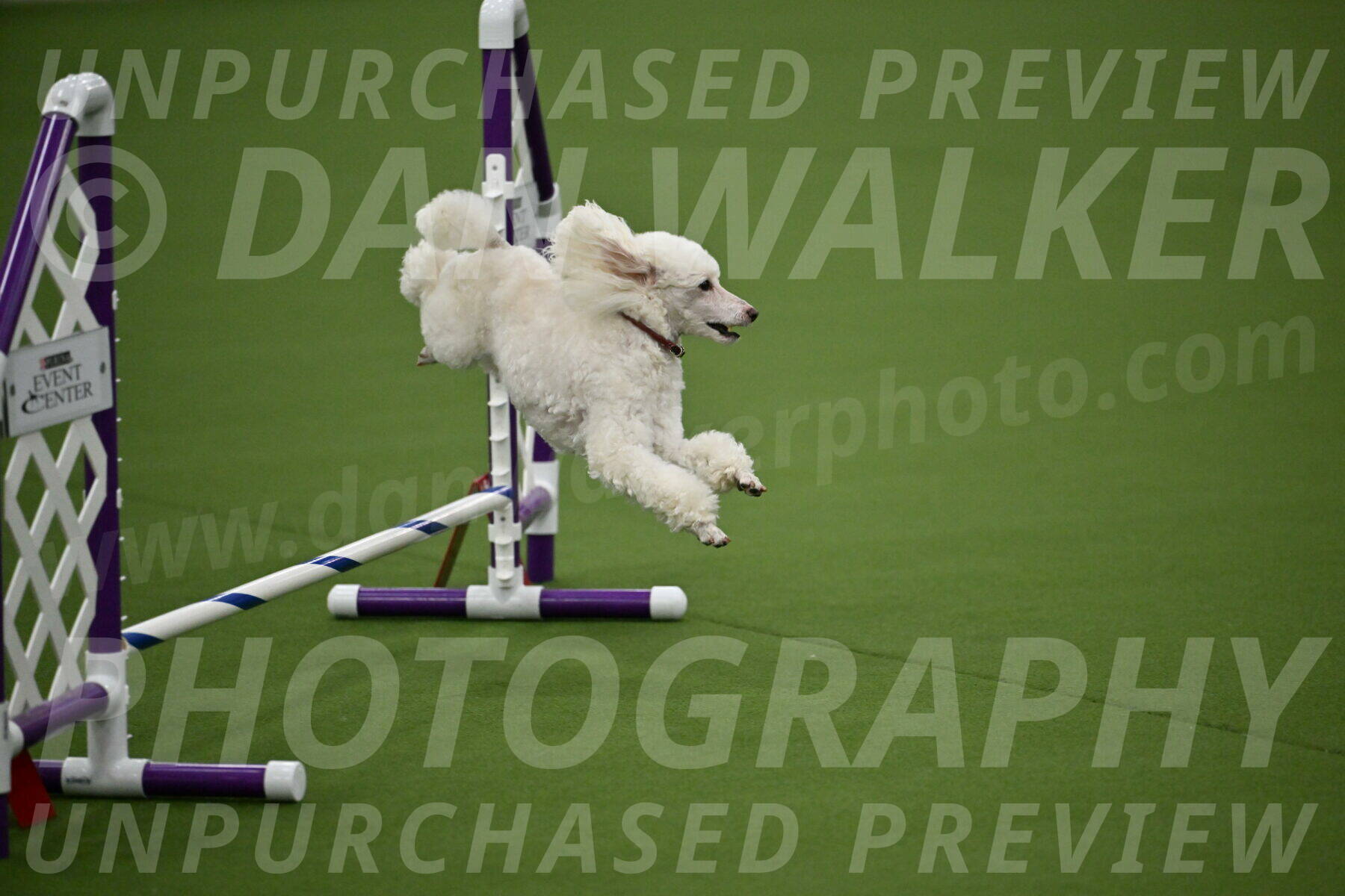 MAS-EX-JWW-4-8-Inch_0502