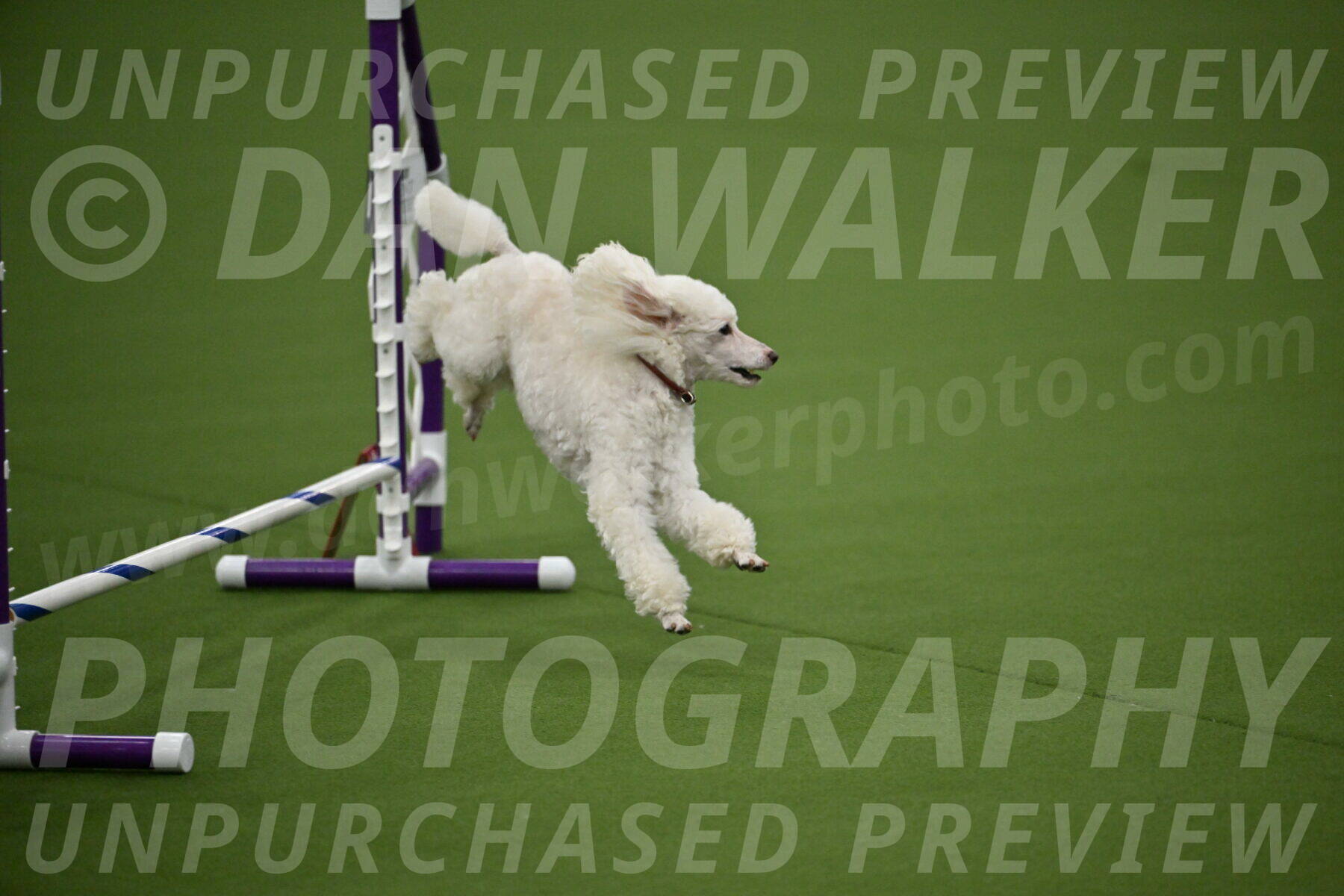 MAS-EX-JWW-4-8-Inch_0503