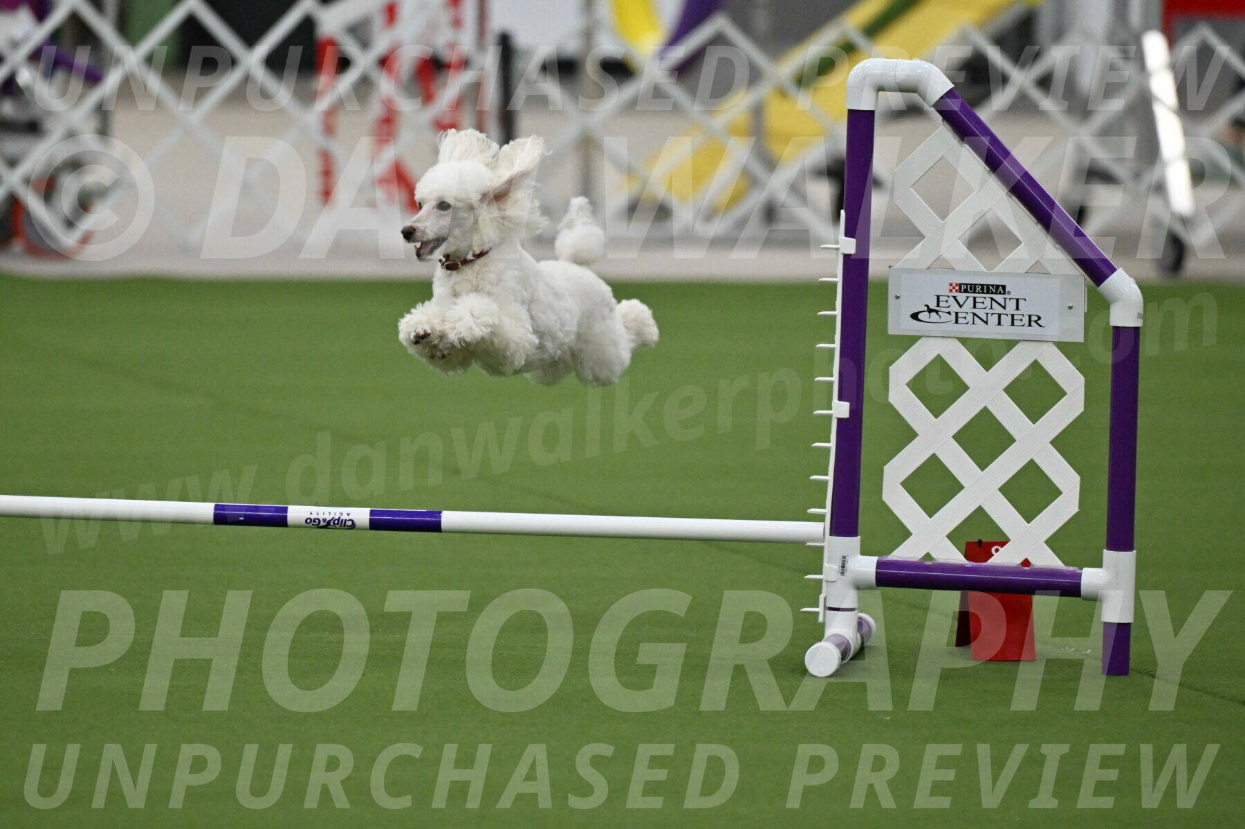 MAS-EX-JWW-4-8-Inch_0505