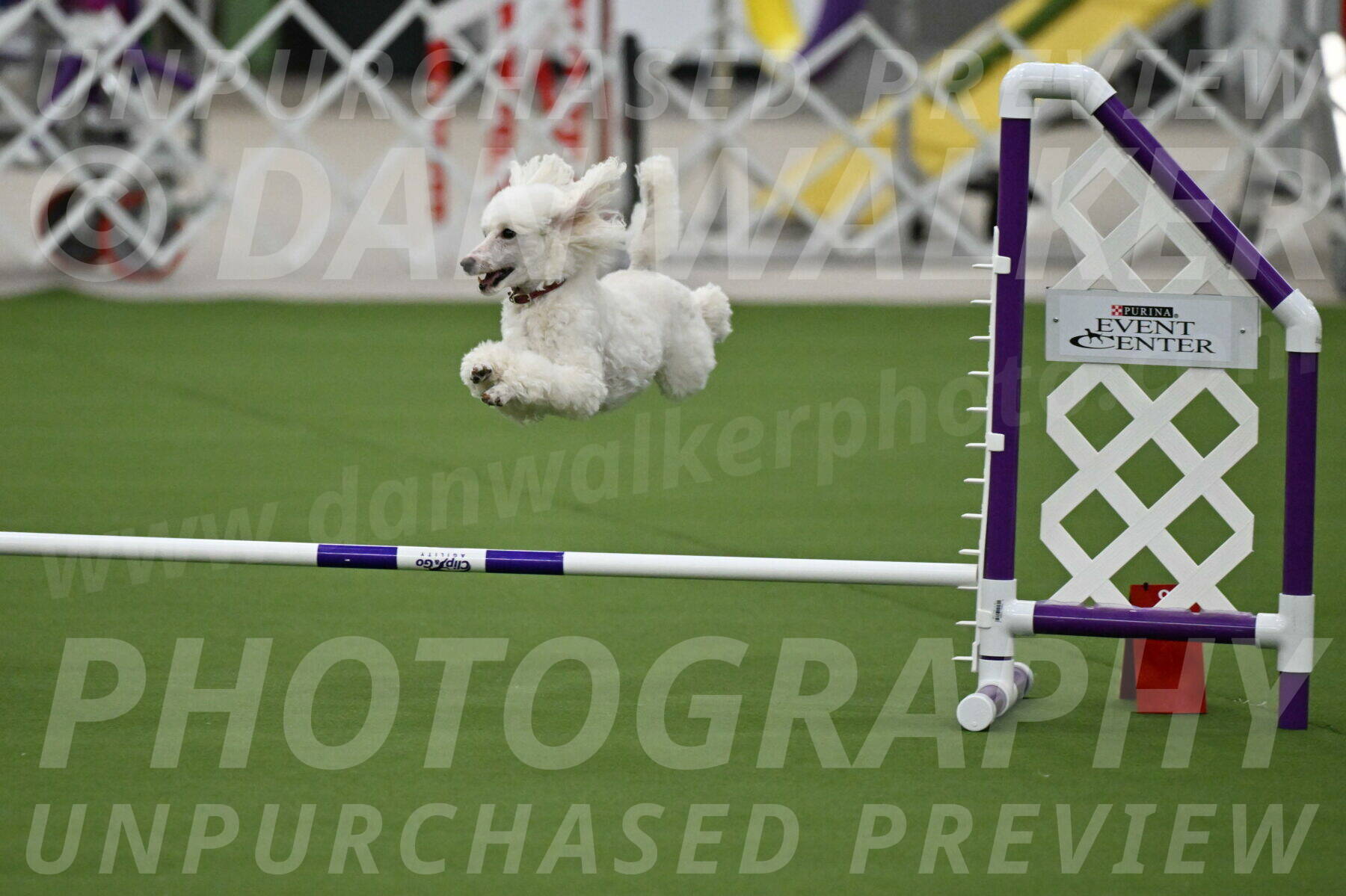 MAS-EX-JWW-4-8-Inch_0506