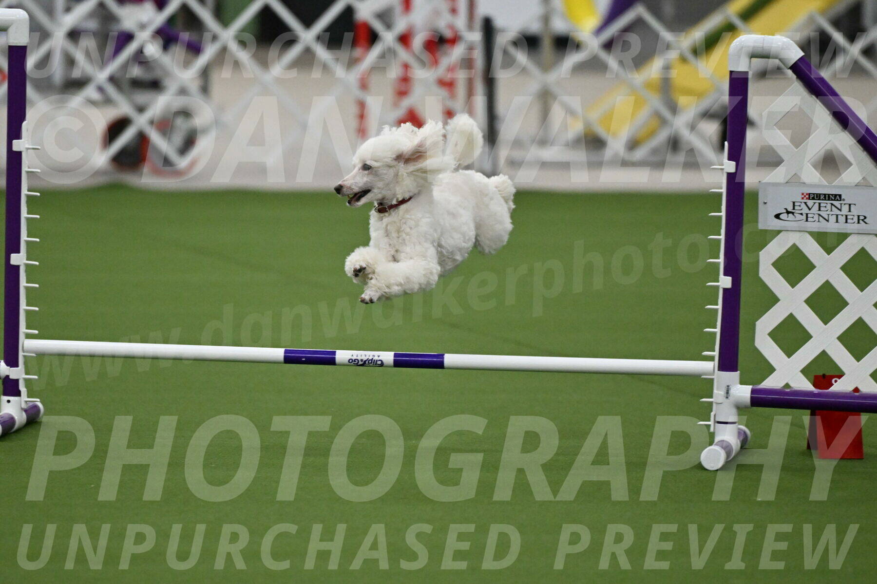 MAS-EX-JWW-4-8-Inch_0507