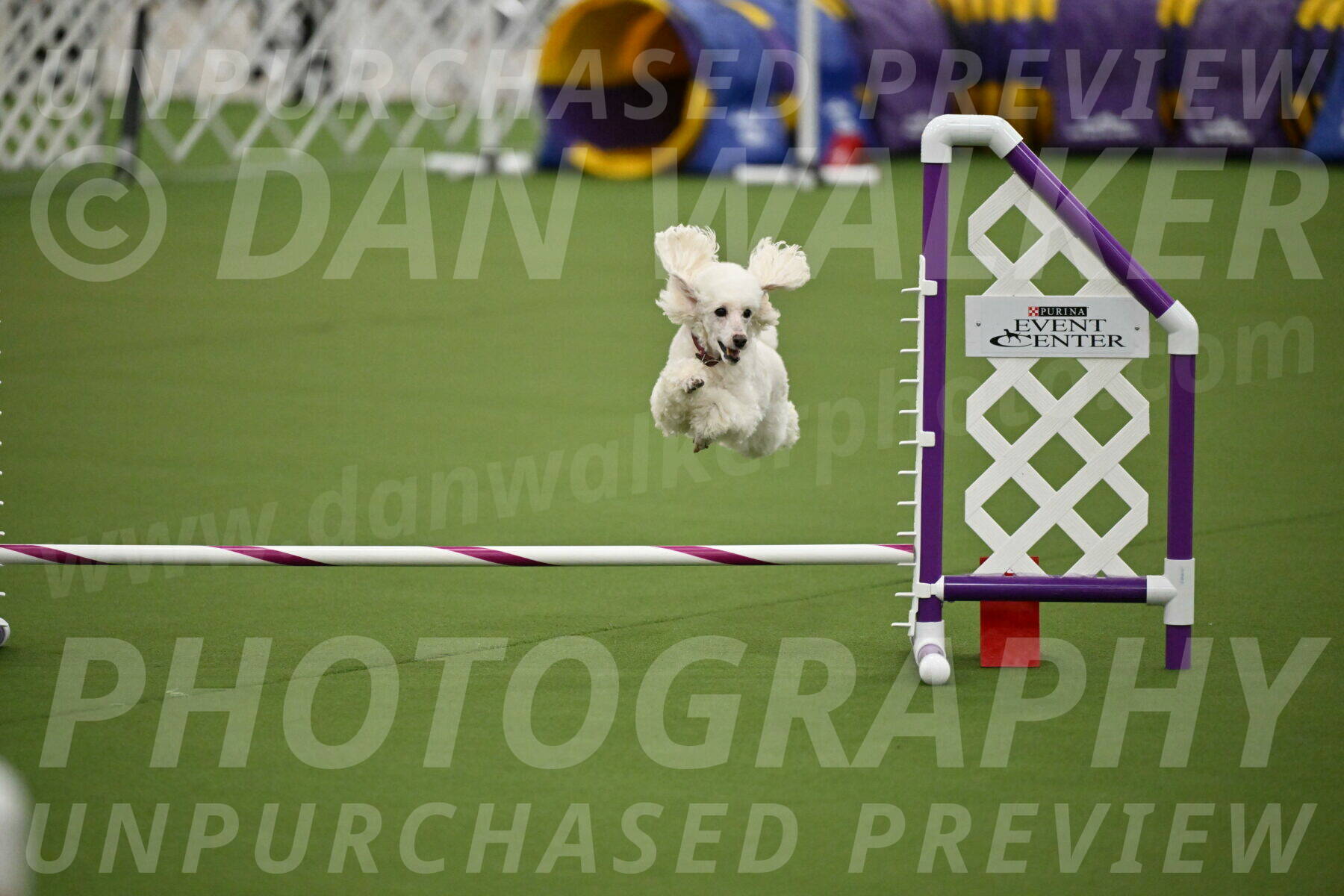 MAS-EX-JWW-4-8-Inch_0511