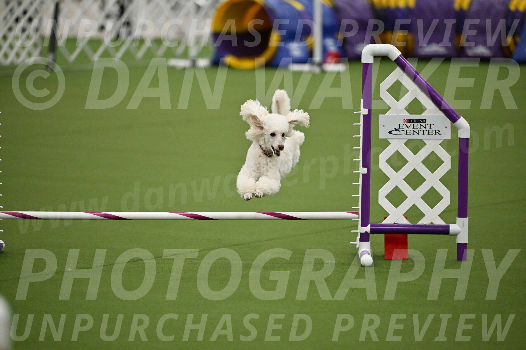 MAS-EX-JWW-4-8-Inch_0513