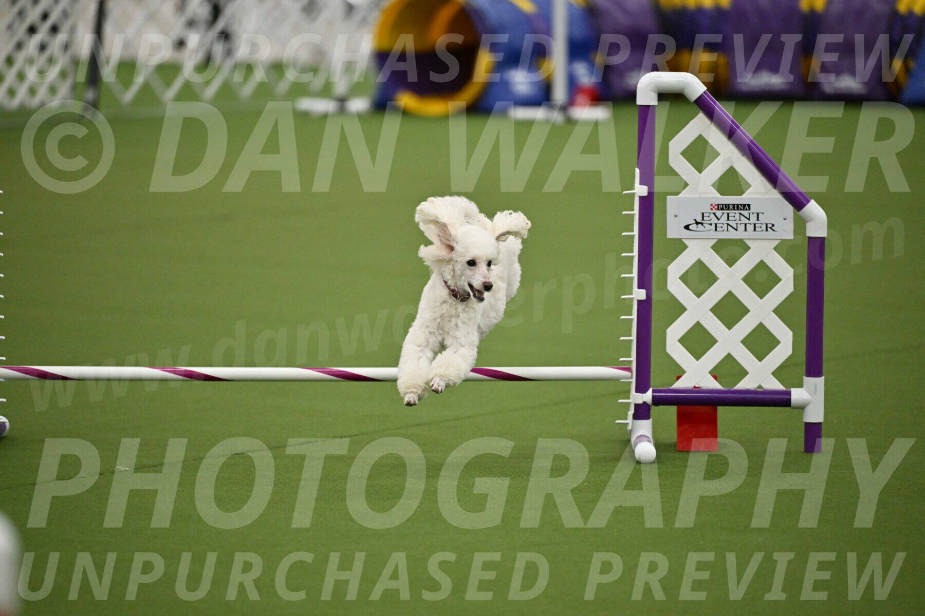 MAS-EX-JWW-4-8-Inch_0514