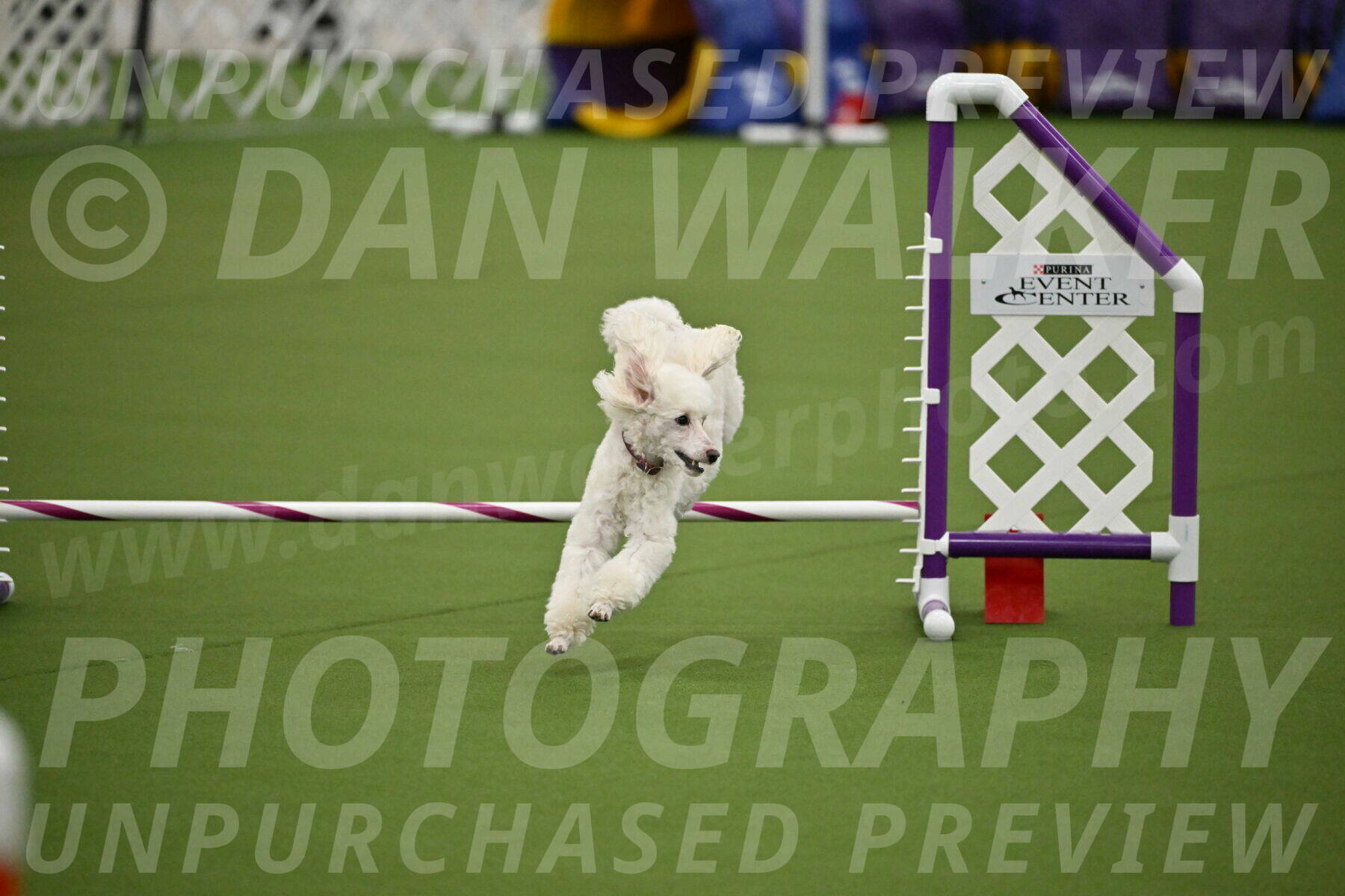 MAS-EX-JWW-4-8-Inch_0515