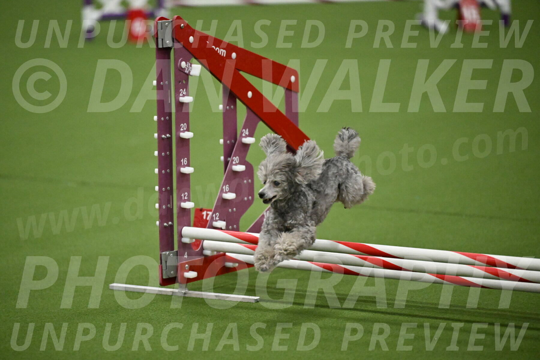 MAS-EX-JWW-4-8-Inch_0791