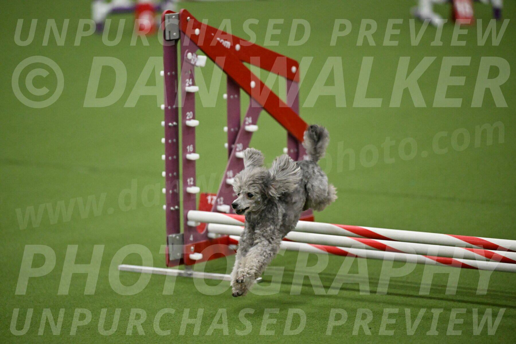 MAS-EX-JWW-4-8-Inch_0792