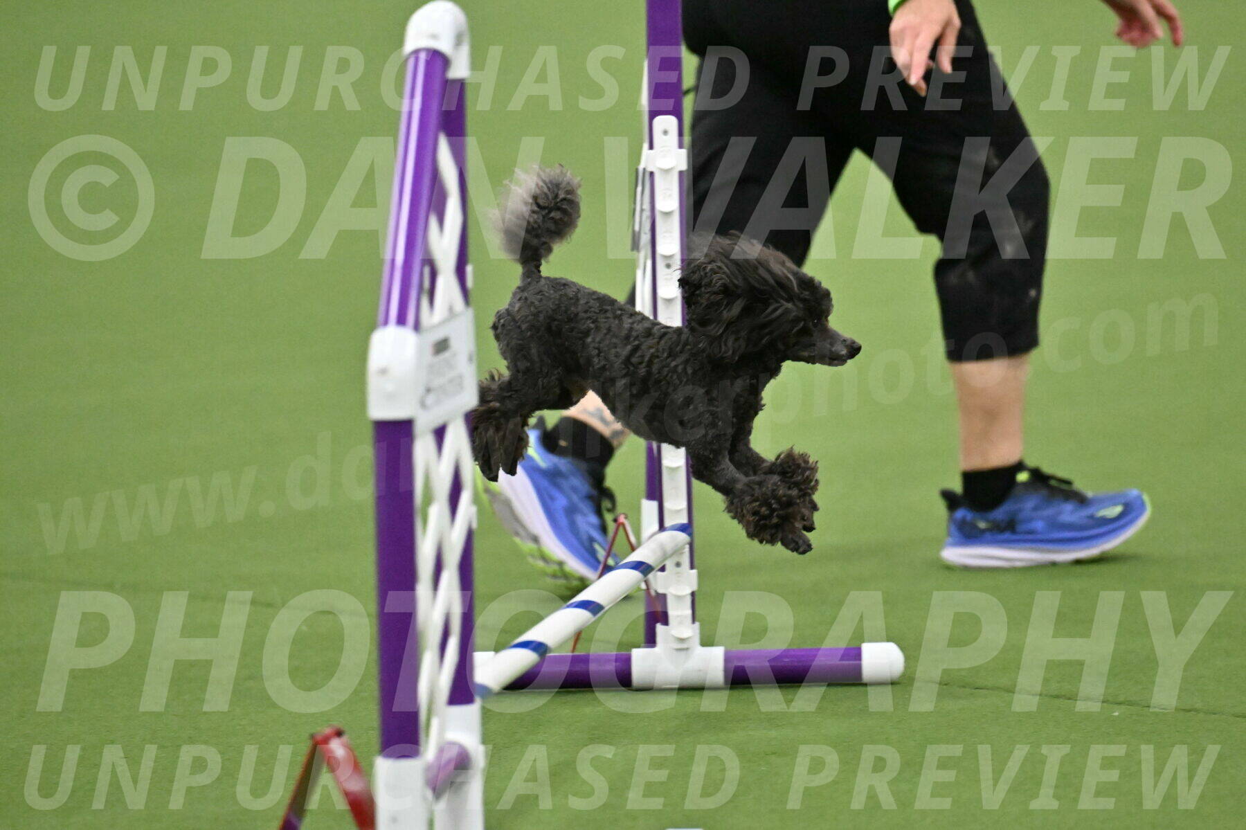 MAS-EX-JWW-4-8-Inch_0800