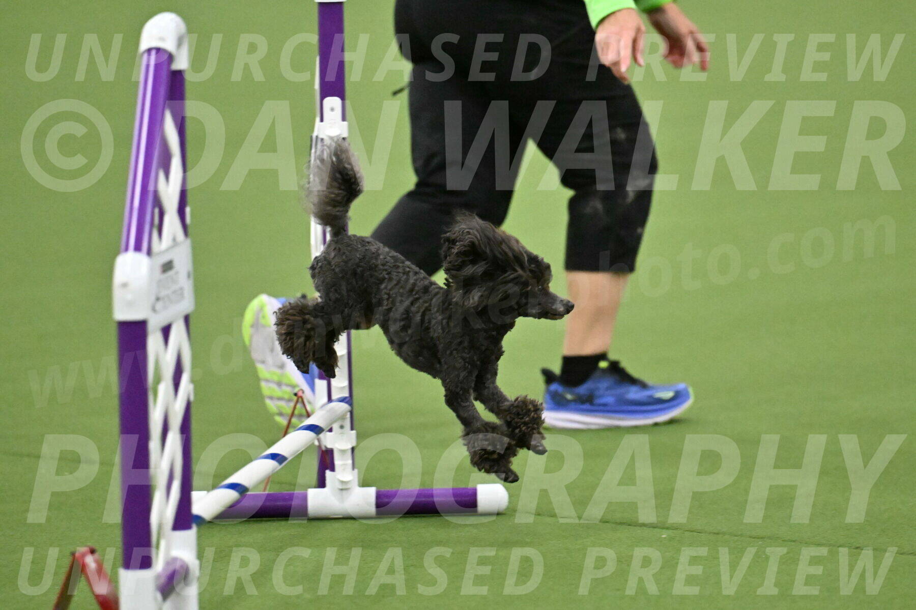 MAS-EX-JWW-4-8-Inch_0801